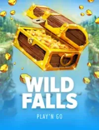 wild falls logo